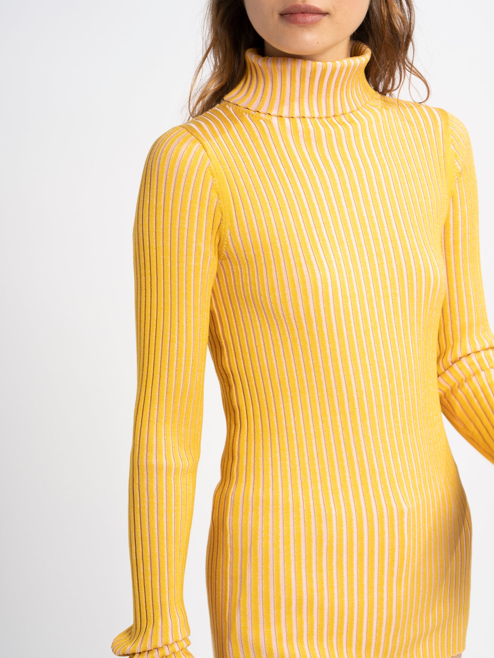 Victoire Ribbed Turtleneck