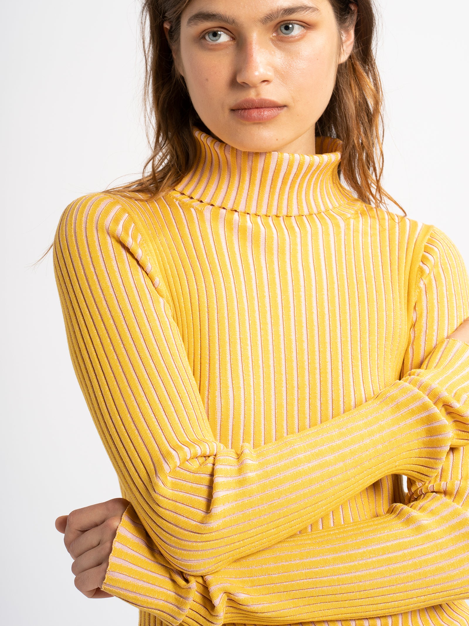 Victoire Ribbed Turtleneck