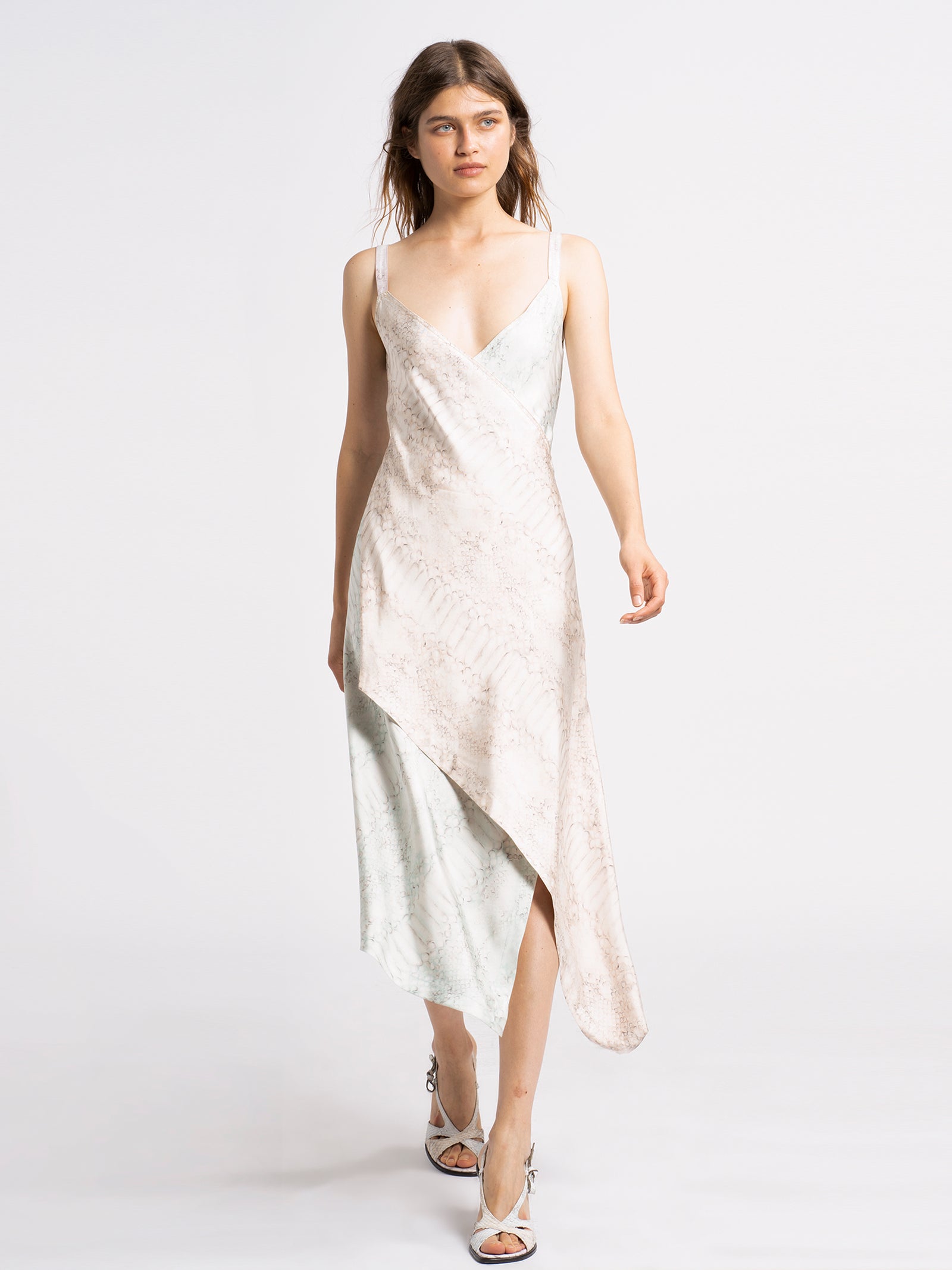 Alicia Printed Silk Dress